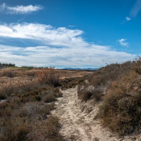 Rambla Guadalentin & Gebas