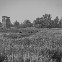 Oktober 2025 een klein overzicht