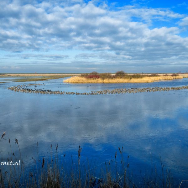 Lepelaarplassen en het kiekendief scherm