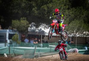 DSC 6556-Verbeterd-NR-bewerkt-Mei-2024