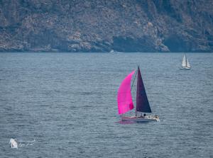 DSC 1910-Verbeterd-NR-Mei-2024