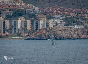 DSC 1935-Verbeterd-NR-Mei-2024