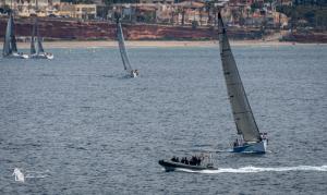 DSC 1942-Verbeterd-NR-Mei-2024