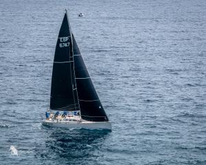 DSC 2889-Verbeterd-NR-Mei-2024