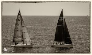 DSC 2900-Verbeterd-NR-bewerkt-Mei-2024